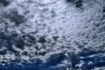 Abstract background of white clouds in the sky, oft clouds; sky backdrop; artistic clouds; heavenly view; blur, blurred background.