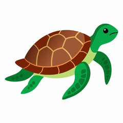 Sea Turtle Vector art illustration (5)