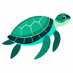 Sea Turtle Vector art illustration (20)