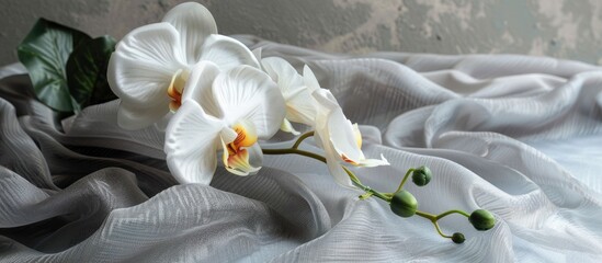 Faux orchid bloom in a container on a soft grey fabric.