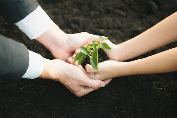 Businessman grow and nurture plant on fertilized soil with young boy as eco company committed to...