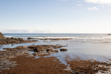 Serene beach scene, rocky shores, calm waters, distant horizon, clear sky, natural pathways, light...