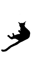 Cat  silhouette vector 