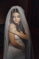 A woman in a wedding dress is wearing a veil. She is looking at the camera. The image has a...