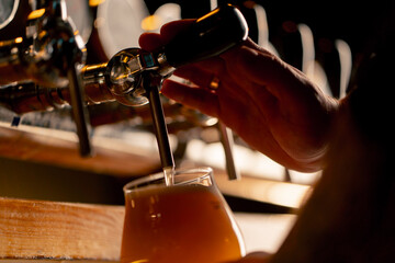 close-up in beer hall at the bar counter the bartender's hands pour light beer into a glass