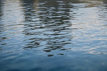 Fototapeta premium reflection in water