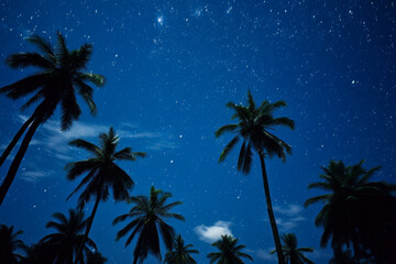 Majestic palm trees stretching towards the sky, their fronds interlocking, with shimmering stars peeking through the gaps, reflecting off a tranquil sea below.