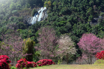 Siriphum waterfall at Inthanon national park in Chiang Mai, Thailand.