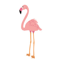 pink flamingo on white background vector