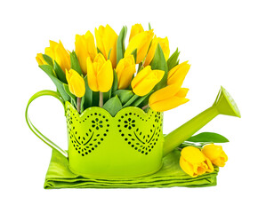 Bunch yellow tulips in watering can. Isolated. PNG. © Yasonya