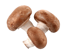 Ripe mushrooms champignons. Organic food vegetables isolated. PNG.