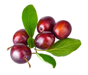 Fresh plums with green leaves still life of ripe, natural organic fruits, isolated. PNG.