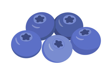 Blueberry Set. Fresh ripe blueberries. Trendy flat illustration isolated on white. Forest berry. Healthy lifestyle. Eco. Flat style. Vector illustration