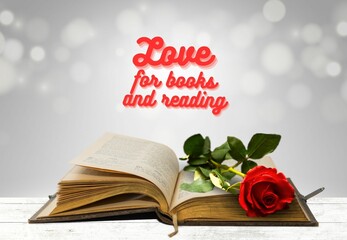 amor, libros, lectura, rosa y libro