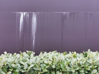 Wykwity solne na ścianie © Jacek