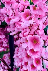Beautiful pink colored flowers sakura cherry blossoms imitation flora plastic indoor decorative plants object isolated on vertical ratio background.