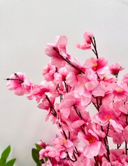 Beautiful pink colored flowers sakura cherry blossoms imitation flora plastic indoor decorative...