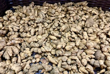 A group or pile of raw turmeric herb or kunyit in market. Organic food object photography isolated on background.