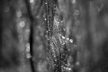 Beautiful texture background Black Shading Net helps filter sunlight for agricultural plants