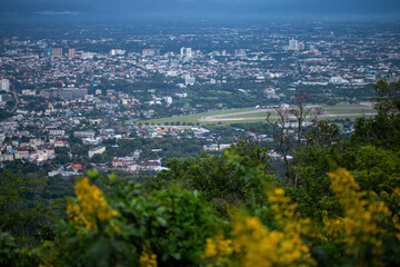 High-angle view of the city There are yellow flowers in the foreground. Many buildings in Chiang Mai, Thailand