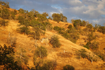Sierra Nevada foothills in Three Rivers, California.
