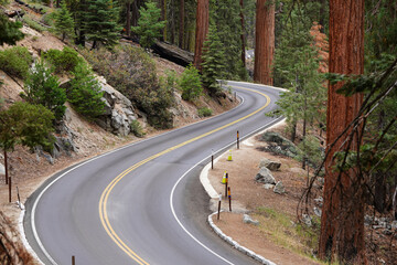 The Generals Highway is a highway that connects State Route 180 and State Route 198 through Sequoia National Park.