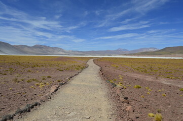 Fototapeta na wymiar Trilha pelo Deserto do Atacama