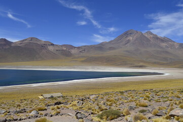 C&ecirc;nico das lagoas altipl&acirc;nicas