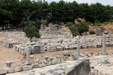 Ancient ruins city of Ephesus, Selcuk, Turkey.