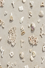 Seashells and corals as minimal pattern. Vertical layout of found shell and coral on ocean shore. Summer relahation concept, beach vibes. Top view nature background, neutral white beige tones gradient