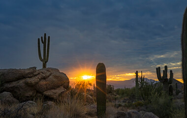 Arizona Desert Landscape With Sun Rising Behind Mountains