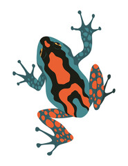 Frog or toad, amphibian animal. Type of froggy. Exotic tropical reptile. Flat vector illustration on white background