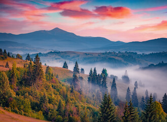 Picture at blue hours of highest mountain in Carpathians - Hoverla in the morning mist. Astonishing summer dawn on mountain valley, Yasinya location, Ukraine, Europe. Travel the world.