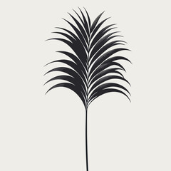 palm tree leaf set silhouette illustration white background