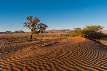 Namib-Naukluft National Park, Namibia