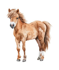 Naklejka na ściany i meble horse pony watercolor digital painting good quality