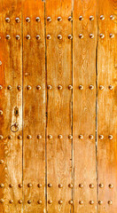 Old wooden door of a building in the Alhambra of Granada, Granada, Spain