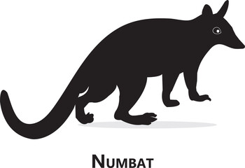 Numbat animal icon, wildlife, animal
