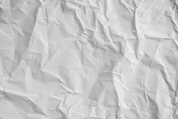 A heavily crumpled large sheet of paper as a background. Black and white image.