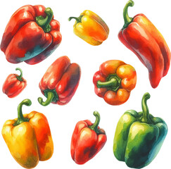 set of watercolor red and yellow peppers in vector 