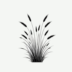 grass silhouette vector illustration white background