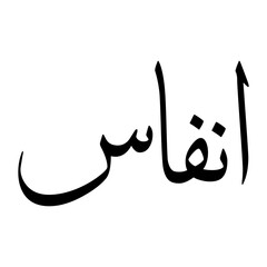 Anfas Muslim Boy Name Sulus Font Arabic Calligraphy