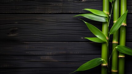 Green bamboo stalks with fresh leaves against a dark wooden background, providing a natural and...