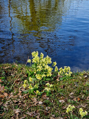 Schlosspark Nymphenburg, München