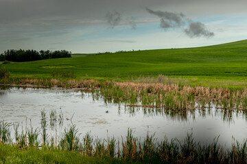 Ponds and farm lands on the prairie Kneehill County Alberta Canada