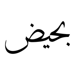 Bahiyudeen Muslim Boy Name Sulus Font Arabic Calligraphy