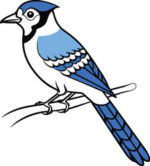 Blue jay siting on the tree stick coloring book page vector art illustration, solid white background