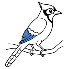 Blue jay siting on the tree stick coloring book page vector art illustration, solid white background