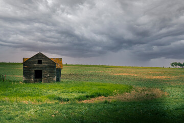 Rustic farm house on the landscape Kneehill County Alberta Canada