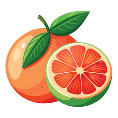 One and half Grapefruit vector art illustration, solid white background